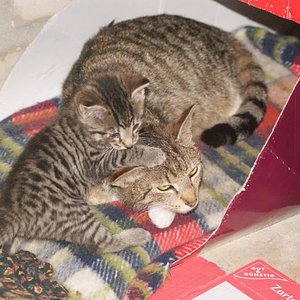 Auf Mami kann man sich verlassen. (2012)