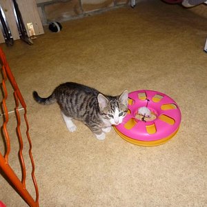 Was soll ich mit dem Ding nur anfangen? (2012)