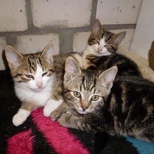 So langsam sind wir echt müde! (2012)