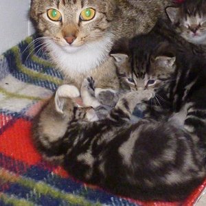 Wir sind noch nicht lange hier! (2012)