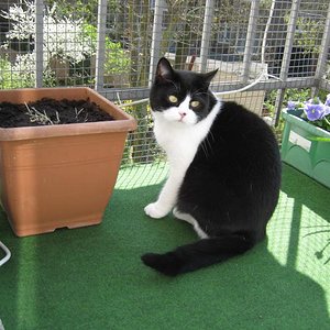 Midnight im Mai 2012