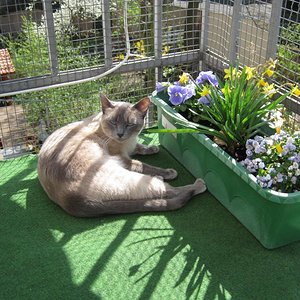 Sue im Mai 2012 (zieht in einer Woche aus)