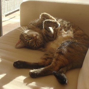 Ganz schön verdreht. :)