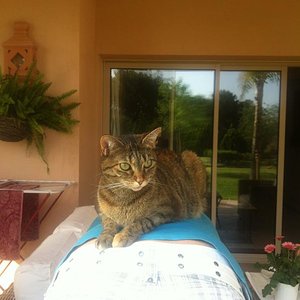 Berg Sascha erfolgreich bezwungen. :D