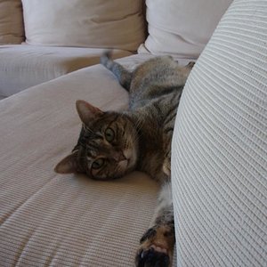 Wie lang sie sich machen kann.