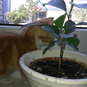 Sein ersten von Foto was ich von ihm habe