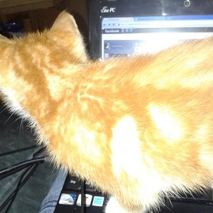 Er wollte auch Chatten :)