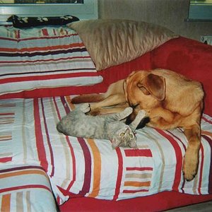 Zoe mit meinem Hund Aris (als sie noch klein war!)