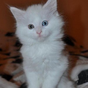 314280 179201958864382 1702143603 n