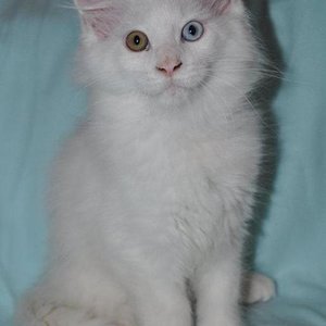 314280 179201965531048 1449566362 n