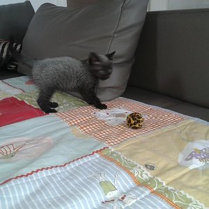 Die grauen Zeiten sind vorbei ..