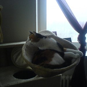 Was passiert denn da draussen?