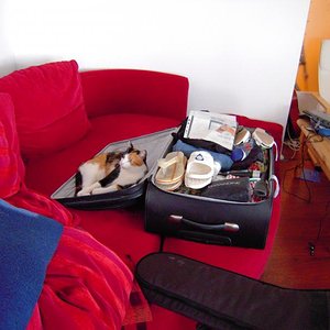 Ohne mich gehts nirgendwo hin. :D