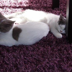 Sonnen ist toll - auch wenn die Sonne schon verzogen ist.