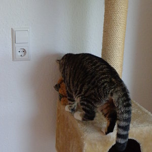 4 und nun ran an ihn