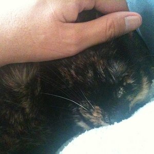 Kleine Genießerin ,-)