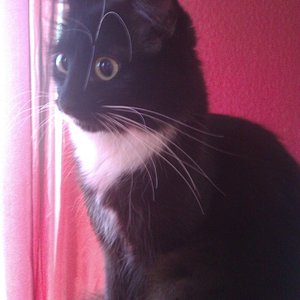 Man kann förmlich riechen wie frech sie ist