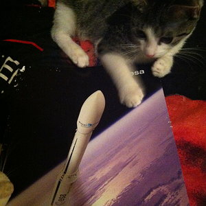 Vega mit "V". Hellster Stern im Sternbild Leier (Wega in Deutsch mit W, im Englischen mit "V" geschrieben. 
Vega ist ausserdem eine kleine Trägerrakete der Europäischen Weltraumorganisation ESA. Und nicht zuletzt im Film "Contact", kamen die Ausserirdischen Signale von Vega. Verniedlichungen: Wegalie, Sternchen, Wiiiga.