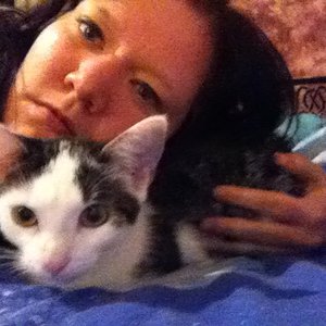 Warmes, Schnurrendes Kissen