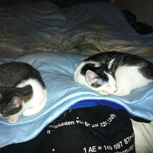 Oktober 2012... 6 Monate alt.