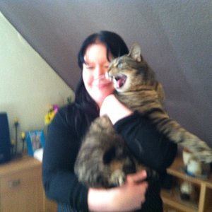 Kater Carlo. Meine Schwester meinte, er war auch mal so klein wie Juno und Vega... Na das kann ja was werden. ;-)