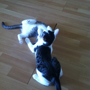 Und hier wird sich ordentlich geklatscht.