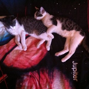 Zwei Raketen reisen durchs unendliche Weltall... ;-)