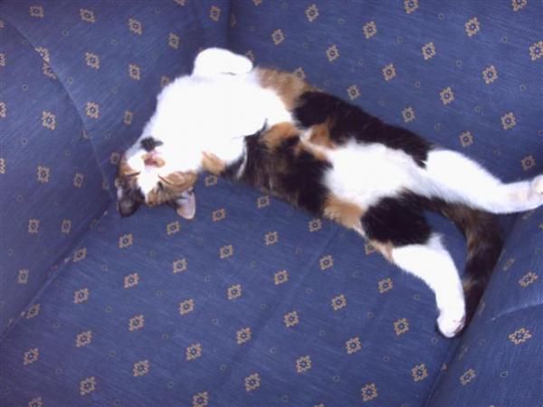 0001011201000 (Small)