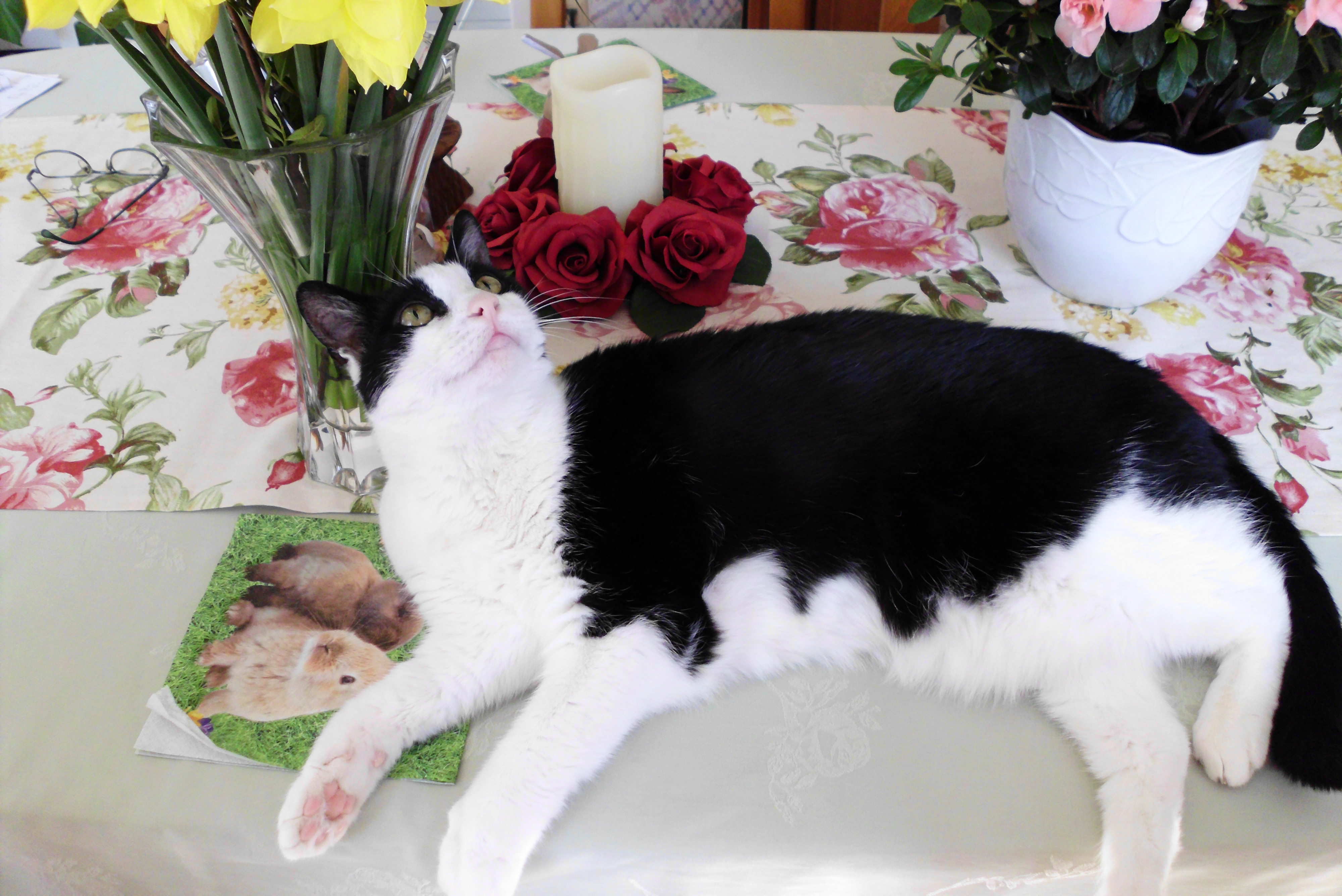 03.04.2013 11 52 15 0007