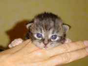 1 db3d335dd0c73d055318f3e1689ca9e7 m