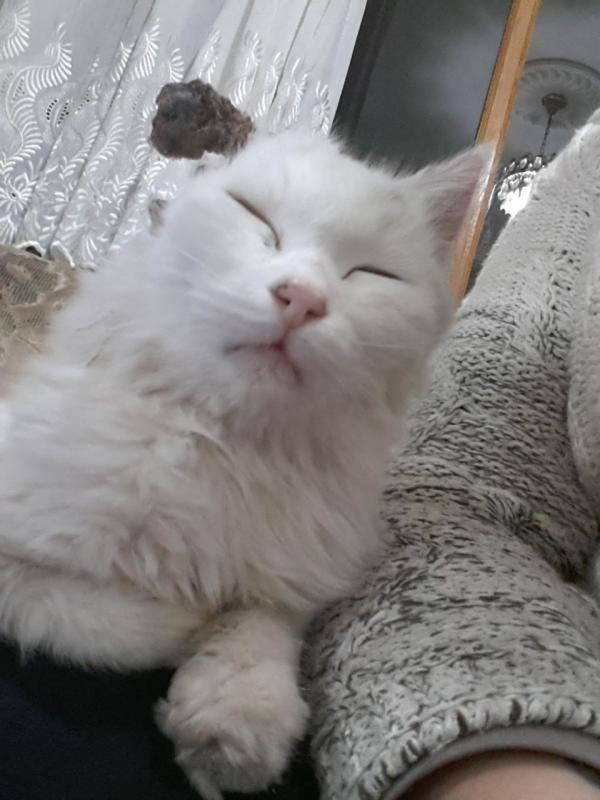 1. Tag bei mir (vor der OP)