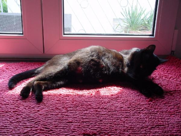 1 Tag vor der Geburt