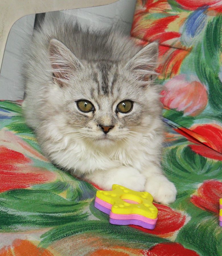 10.08.2011 Balkon Ruhe