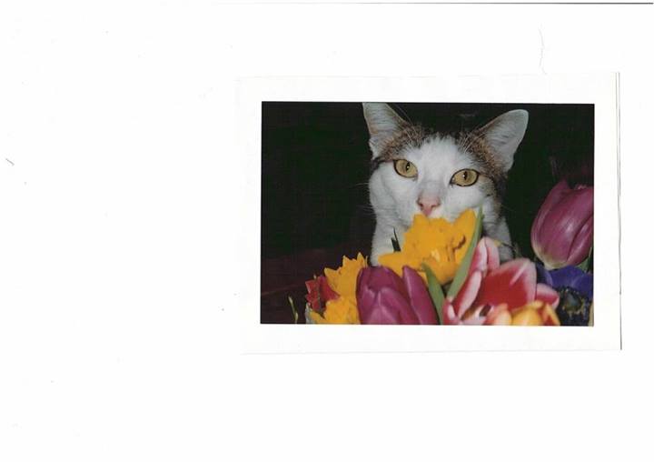 10155941 541476375970003 3600975591730306135 n