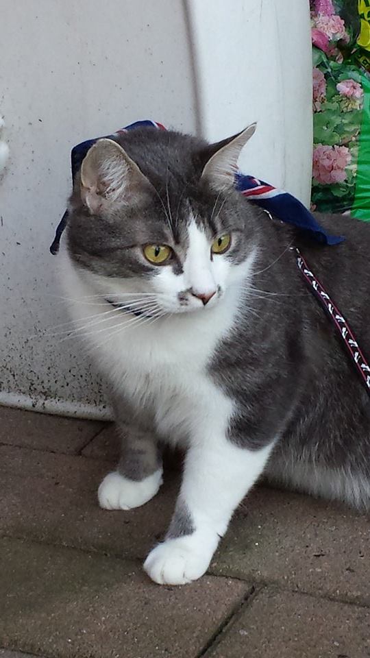 10246344 4056856436138 2804419876815191421 n