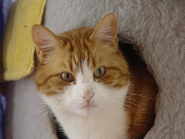 140604 (22) [600x450]