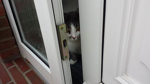 1897731 3890957368765 1191504328 n