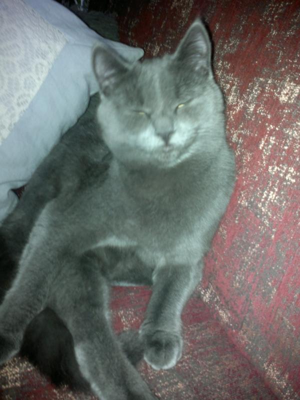 210120181186 (1)  Das ist unsere Chicca mit einem 3/4 Jahr