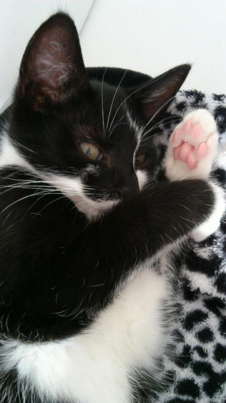 254380 481323481907184 365638409 n