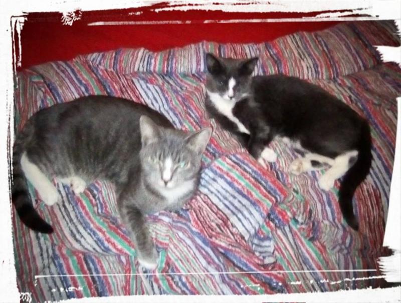 25442795 308057126349383 7050538917682506764 n