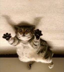 264734 10150245910898890 145241018889 7162626 1360512 n