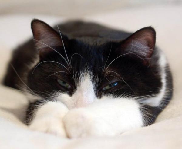 281335 144307182320066 100002223545639 264024 7508261 n