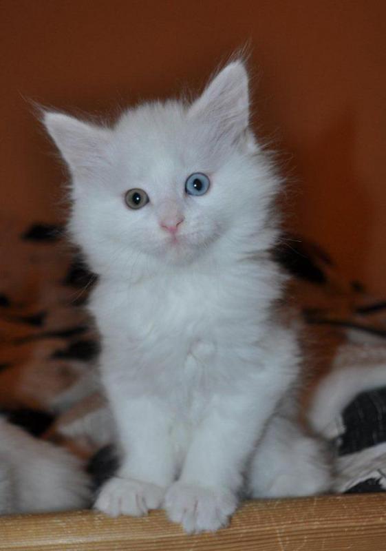 314280 179201958864382 1702143603 n