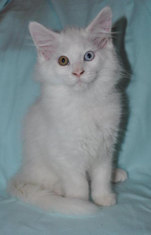 314280 179201965531048 1449566362 n