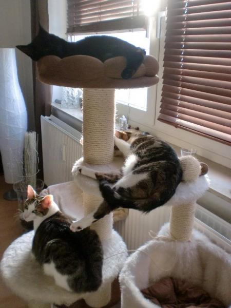 391891 331830090164659 100000130136015 1524251 1172307433 n