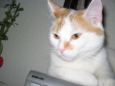 400 3732303663626465