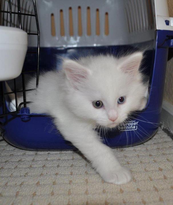 431787 179198728864705 884042317 n