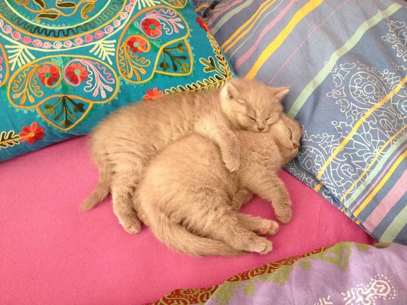 468262 3823525357266 1551701683 3152967 1162164241 o