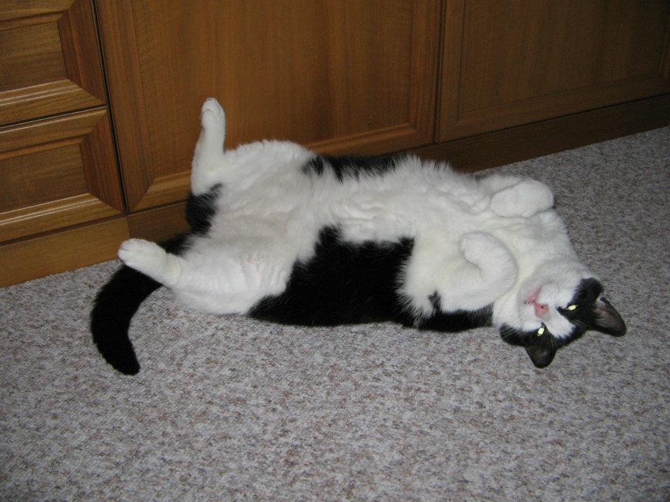 479932 344680975614715 1048107273 n