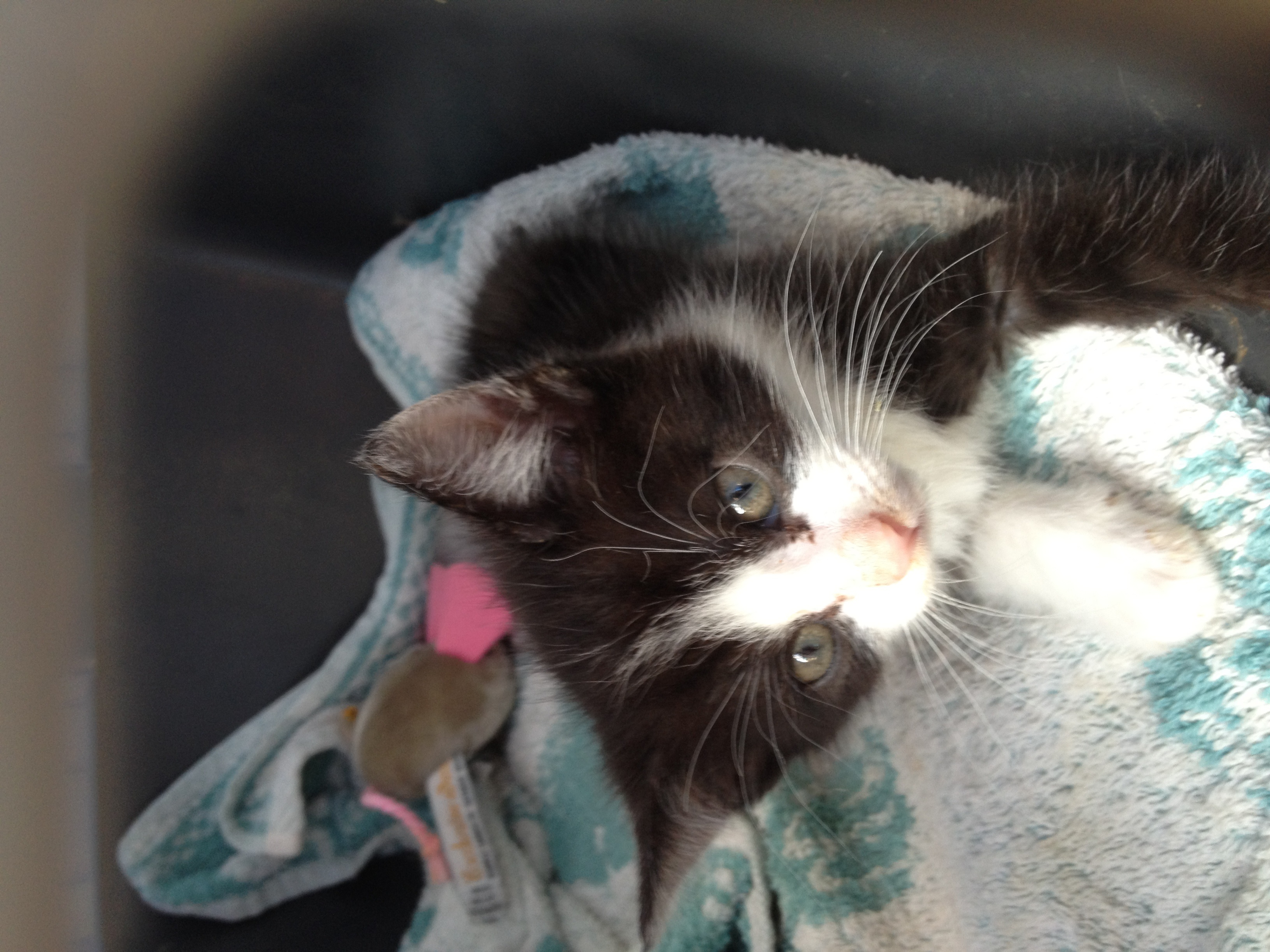 5 Stunden nach dem Erwachen aus dem ersten Koma